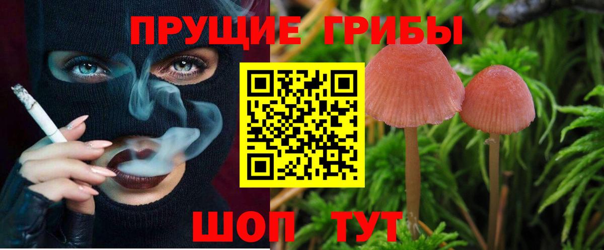 Псилоцибиновые грибы мицелий Ярцево